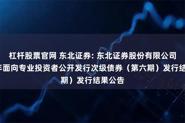 杠杆股票官网 东北证券: 东北证券股份有限公司2025年面向专业投资者公开发行次级债券（第六期）发行结果公告
