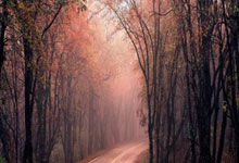 股票的杠杆是多少:手机股票交易-九三大阅兵今日举行 有哪些亮点？